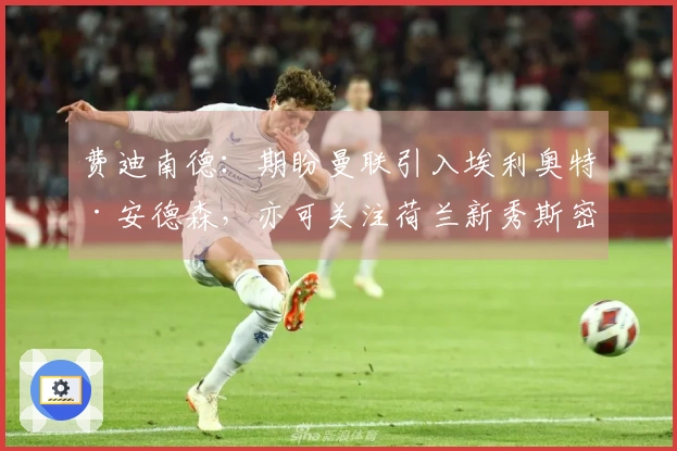 费迪南德：期盼曼联引入埃利奥特·安德森，亦可关注荷兰新秀斯密特