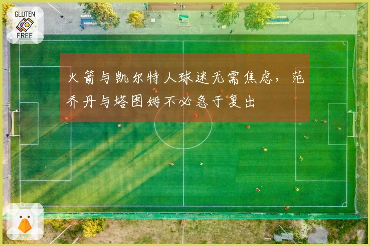 火箭与凯尔特人球迷无需焦虑，范乔丹与塔图姆不必急于复出