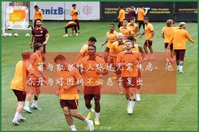 火箭与凯尔特人球迷无需焦虑，范乔丹与塔图姆不必急于复出