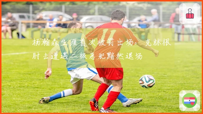 杨瀚森生涯首次被罚出场，克林根肘击遭遇二级恶犯黯然退场